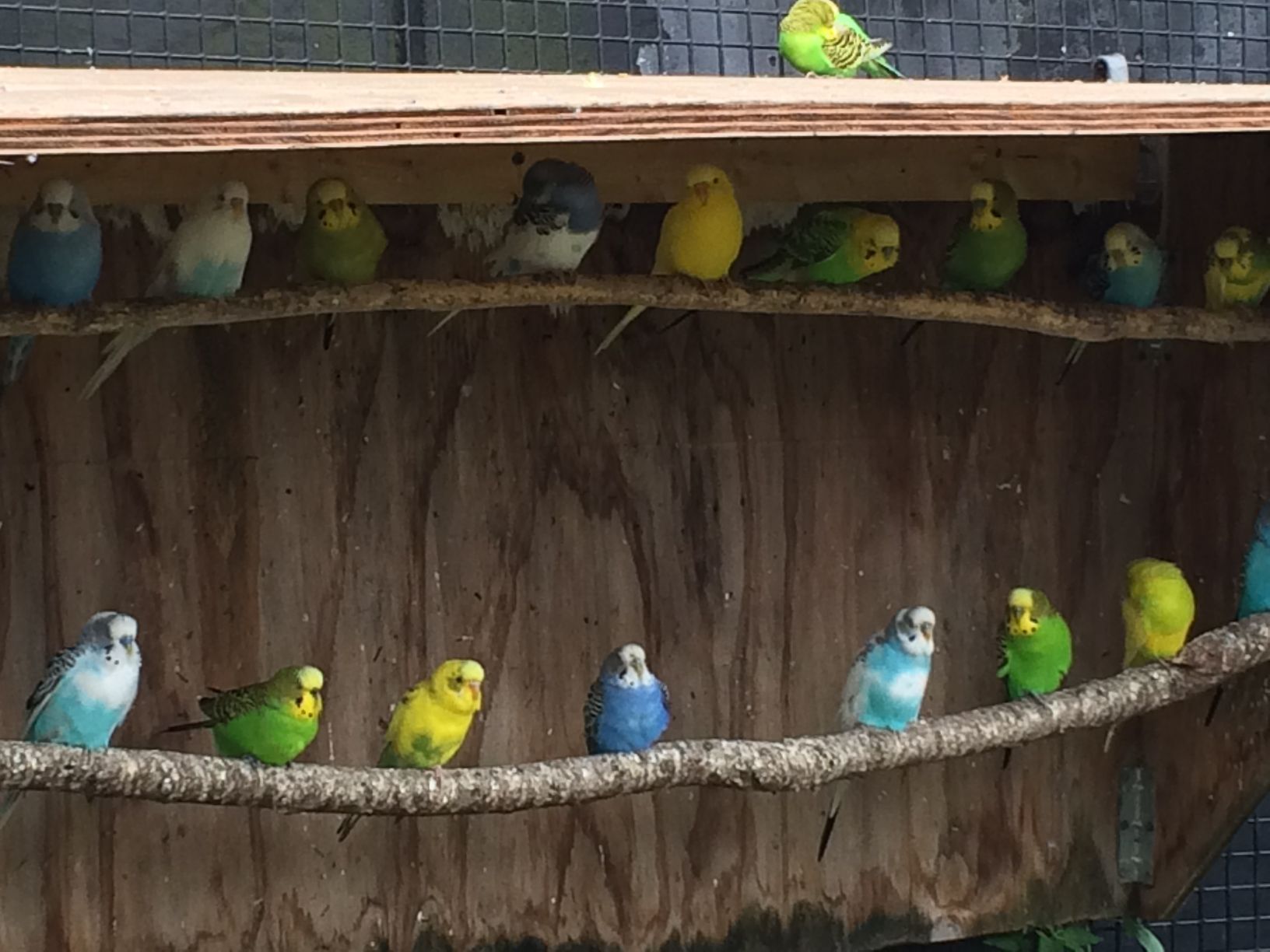 Washington Park Zoo